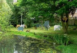 Animals at Pond